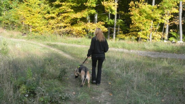 Sunny and I, New York.