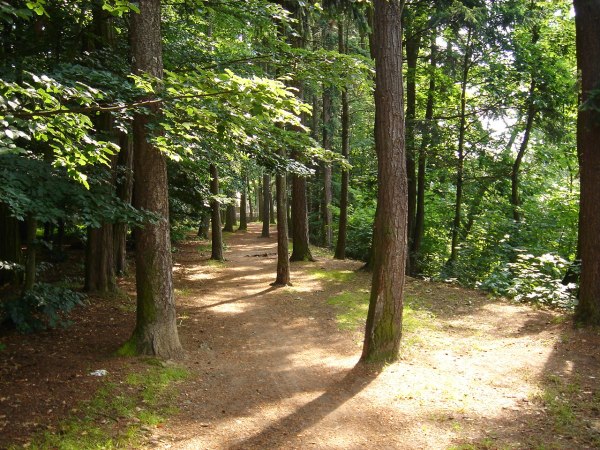 A small town by the river Sazava in the Czech Republic