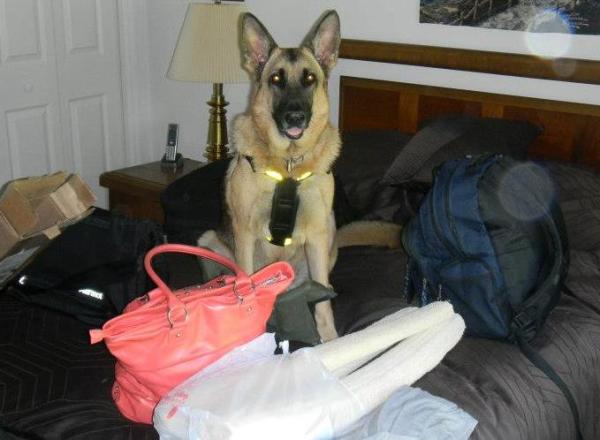 dont leave me behind