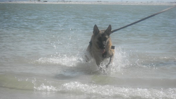 Sunny Florida Beach 21